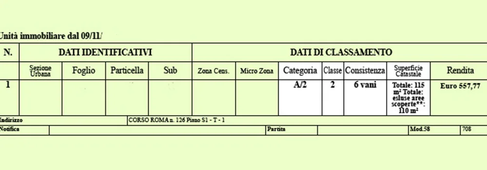 ecco evidenziati i valori che dovete osservare sulla vostra visura catastale